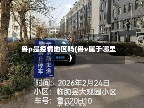 鲁p是疫情地区吗(鲁v属于哪里)-第2张图片