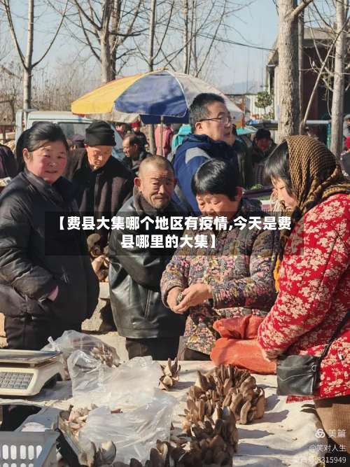 【费县大集哪个地区有疫情,今天是费县哪里的大集】-第1张图片