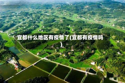 宜都什么地区有疫情了(宜都有疫情吗)-第1张图片