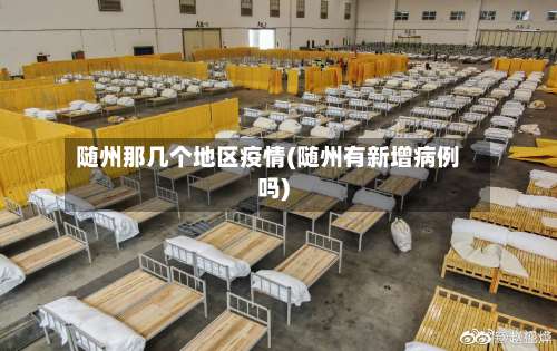 随州那几个地区疫情(随州有新增病例吗)-第1张图片