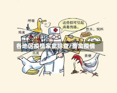 各地区疫情家禽排查/畜禽疫情-第1张图片