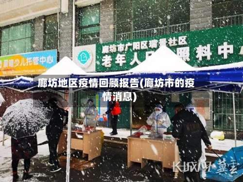 廊坊地区疫情回顾报告(廊坊市的疫情消息)-第2张图片