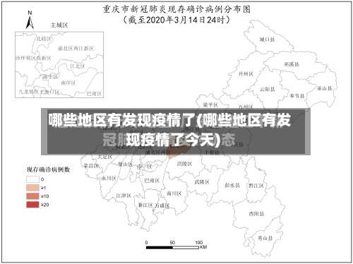 哪些地区有发现疫情了(哪些地区有发现疫情了今天)-第2张图片