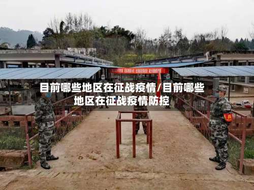 目前哪些地区在征战疫情/目前哪些地区在征战疫情防控-第1张图片