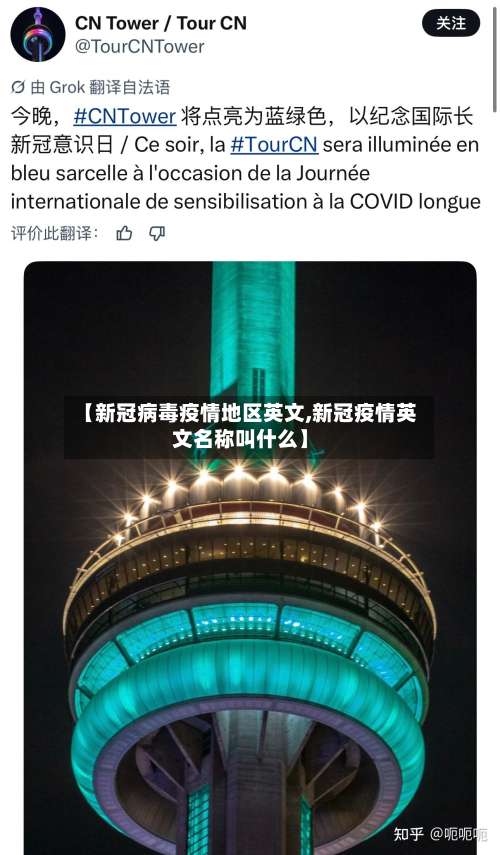 【新冠病毒疫情地区英文,新冠疫情英文名称叫什么】-第2张图片