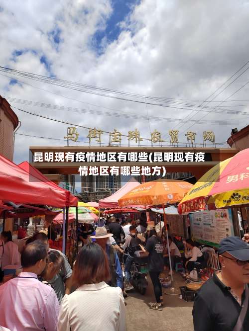 昆明现有疫情地区有哪些(昆明现有疫情地区有哪些地方)-第1张图片