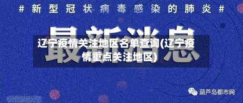 辽宁疫情关注地区名单查询(辽宁疫情重点关注地区)-第2张图片