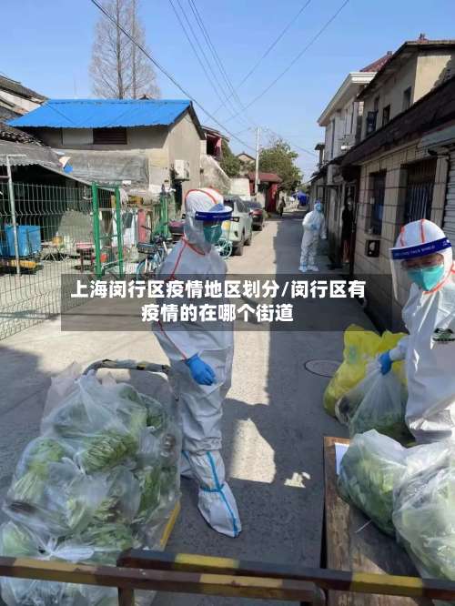 上海闵行区疫情地区划分/闵行区有疫情的在哪个街道-第1张图片