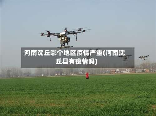 河南沈丘哪个地区疫情严重(河南沈丘县有疫情吗)-第3张图片