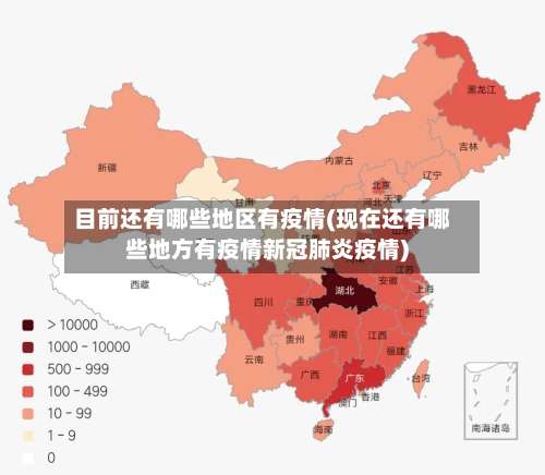 目前还有哪些地区有疫情(现在还有哪些地方有疫情新冠肺炎疫情)-第2张图片