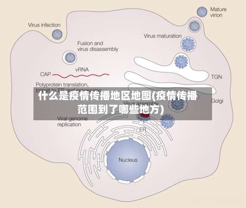 什么是疫情传播地区地图(疫情传播范围到了哪些地方)-第1张图片