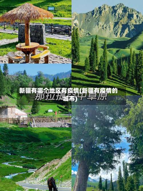 新疆有哪个地区有疫情(新疆有疫情的城市)-第2张图片