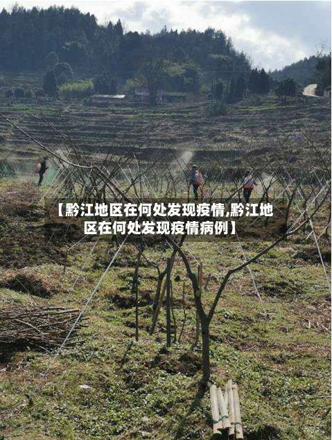 【黔江地区在何处发现疫情,黔江地区在何处发现疫情病例】-第1张图片