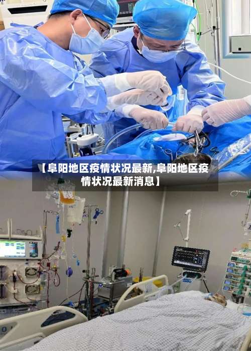 【阜阳地区疫情状况最新,阜阳地区疫情状况最新消息】-第2张图片