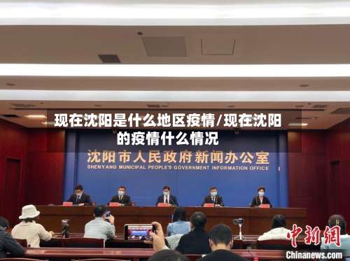 现在沈阳是什么地区疫情/现在沈阳的疫情什么情况-第2张图片