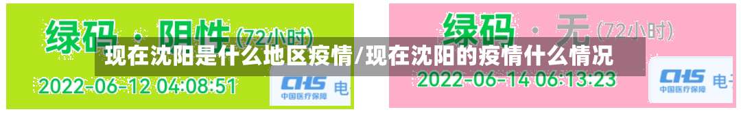 现在沈阳是什么地区疫情/现在沈阳的疫情什么情况-第3张图片