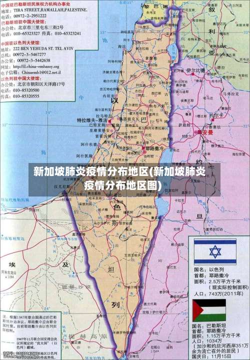 新加坡肺炎疫情分布地区(新加坡肺炎疫情分布地区图)-第3张图片