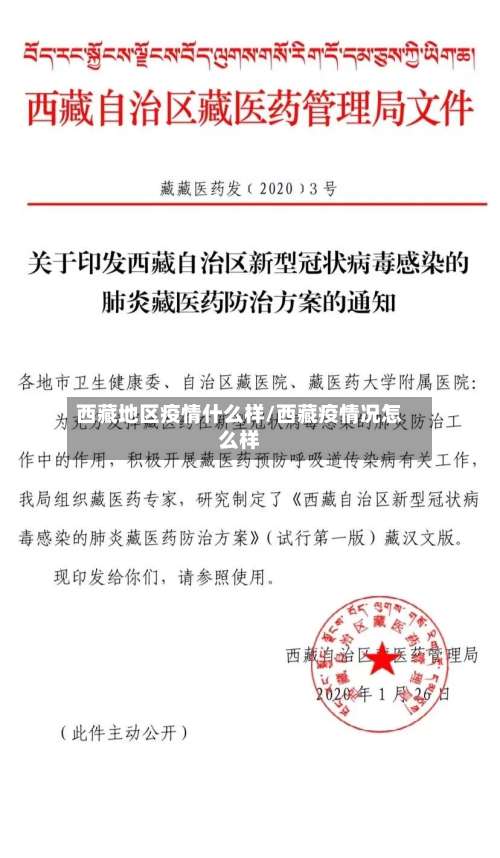 西藏地区疫情什么样/西藏疫情况怎么样-第1张图片