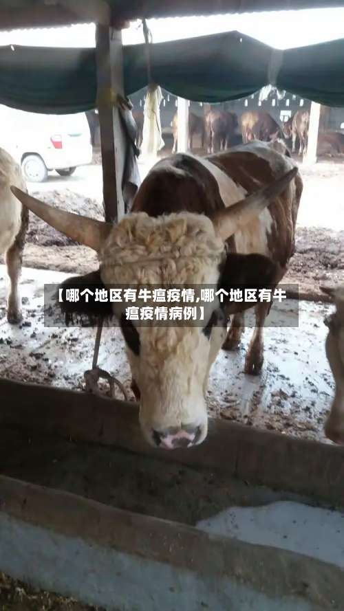 【哪个地区有牛瘟疫情,哪个地区有牛瘟疫情病例】-第1张图片