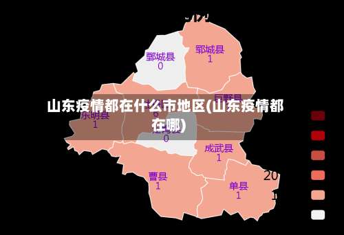 山东疫情都在什么市地区(山东疫情都在哪)-第2张图片