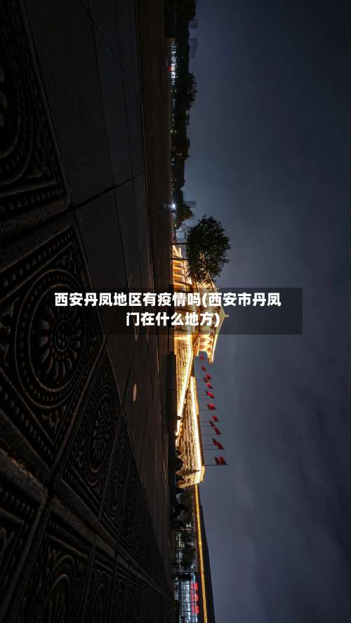 西安丹凤地区有疫情吗(西安市丹凤门在什么地方)-第2张图片