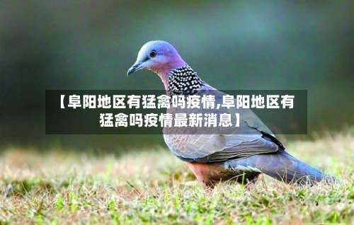 【阜阳地区有猛禽吗疫情,阜阳地区有猛禽吗疫情最新消息】-第1张图片