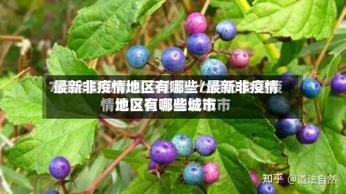 最新非疫情地区有哪些/最新非疫情地区有哪些城市-第1张图片