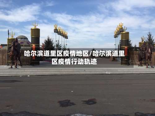 哈尔滨道里区疫情地区/哈尔滨道里区疫情行动轨迹-第3张图片