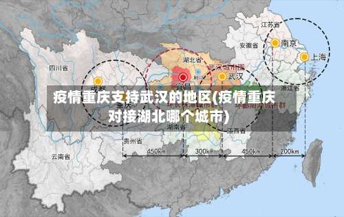 疫情重庆支持武汉的地区(疫情重庆对接湖北哪个城市)-第3张图片