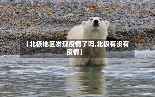 【北极地区发现疫情了吗,北极有没有疫情】-第3张图片