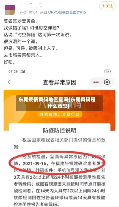东莞疫情黄码地区查询(东莞黄码是什么意思)-第3张图片