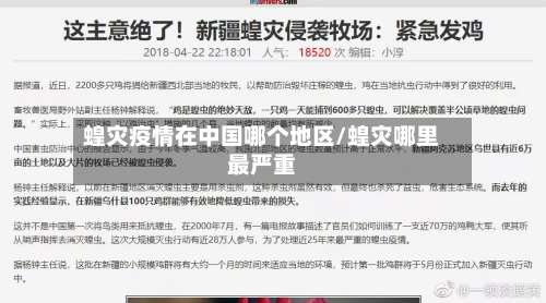 蝗灾疫情在中国哪个地区/蝗灾哪里最严重-第1张图片