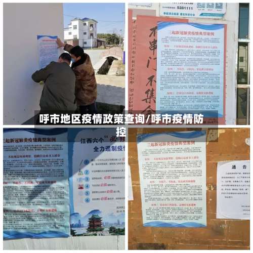 呼市地区疫情政策查询/呼市疫情防控-第1张图片