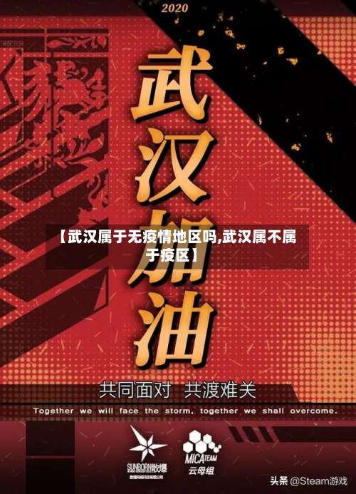 【武汉属于无疫情地区吗,武汉属不属于疫区】-第1张图片