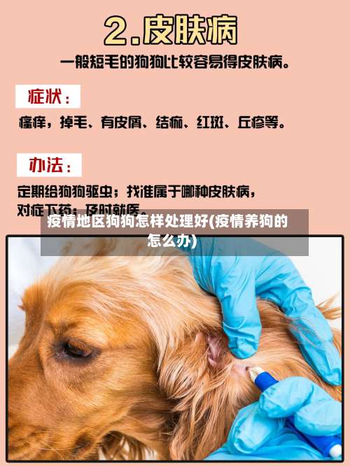 疫情地区狗狗怎样处理好(疫情养狗的怎么办)-第2张图片