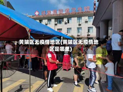 黄陂区无疫情地区(黄陂区无疫情地区是哪里)-第3张图片