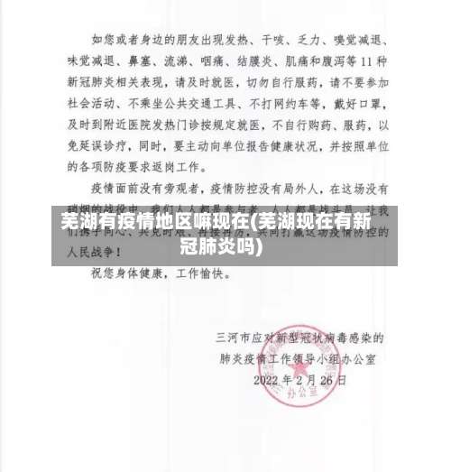 芜湖有疫情地区嘛现在(芜湖现在有新冠肺炎吗)-第3张图片