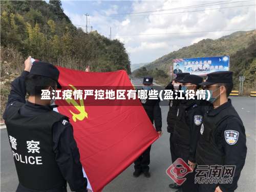 盈江疫情严控地区有哪些(盈江役情)-第2张图片