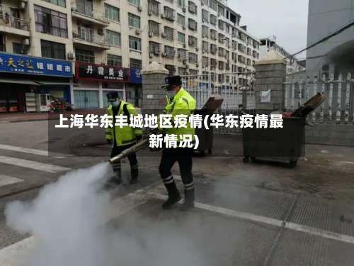 上海华东丰城地区疫情(华东疫情最新情况)-第3张图片