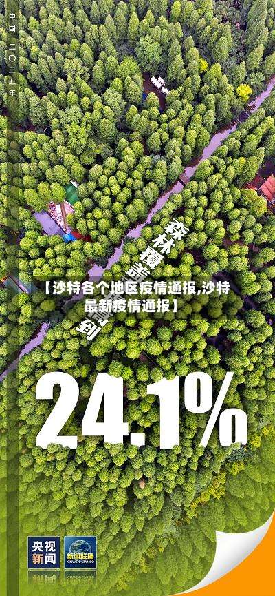 【沙特各个地区疫情通报,沙特最新疫情通报】-第2张图片