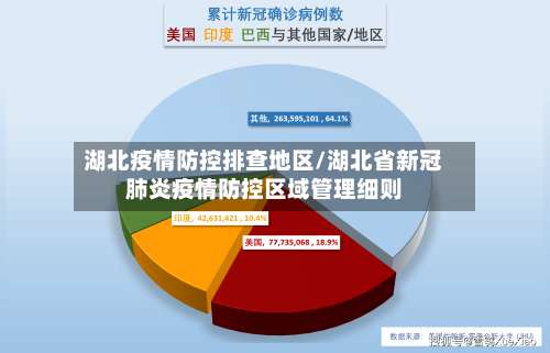 湖北疫情防控排查地区/湖北省新冠肺炎疫情防控区域管理细则-第2张图片