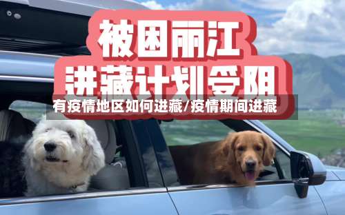 有疫情地区如何进藏/疫情期间进藏-第2张图片