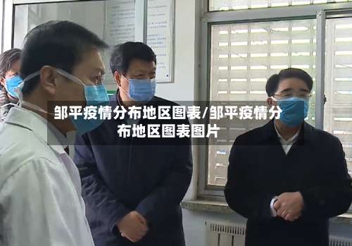 邹平疫情分布地区图表/邹平疫情分布地区图表图片-第2张图片
