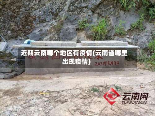 近期云南哪个地区有疫情(云南省哪里出现疫情)-第2张图片
