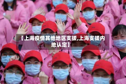 【上海疫情其他地区支援,上海支援内地认定】-第3张图片
