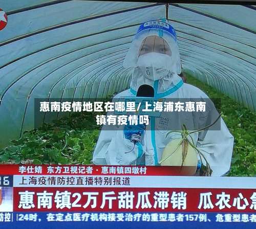惠南疫情地区在哪里/上海浦东惠南镇有疫情吗-第1张图片