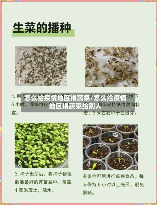怎么给疫情地区捐蔬菜/怎么给疫情地区捐蔬菜给别人-第1张图片
