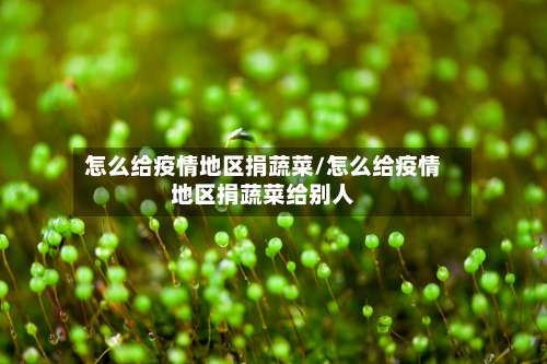 怎么给疫情地区捐蔬菜/怎么给疫情地区捐蔬菜给别人-第2张图片