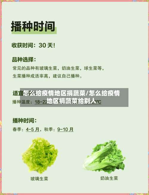怎么给疫情地区捐蔬菜/怎么给疫情地区捐蔬菜给别人-第3张图片