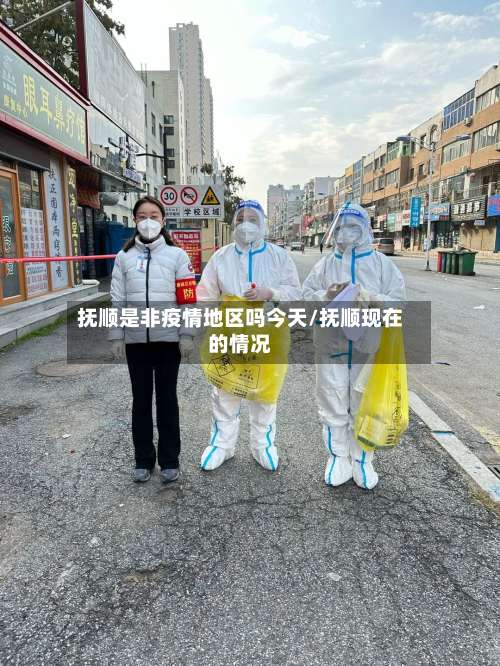 抚顺是非疫情地区吗今天/抚顺现在的情况-第3张图片